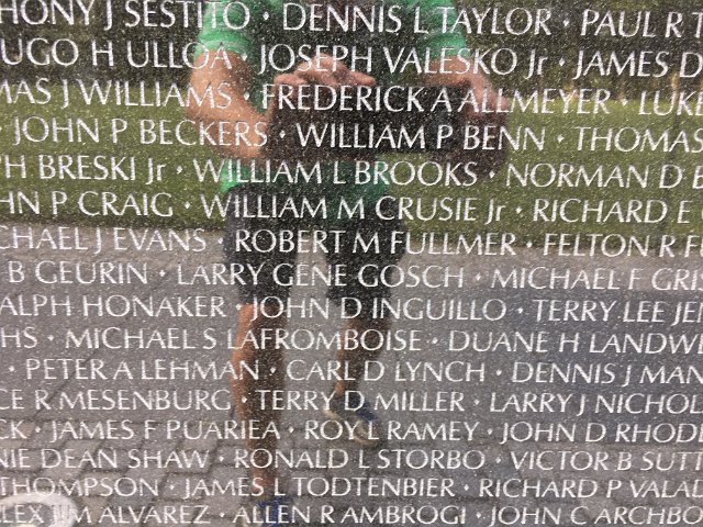 Vietnam Memorial Panel